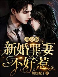 新婚错爱祁少的私宠罪妻苏晚璃