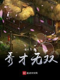 秀才无双电影免费观看