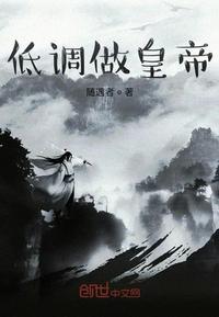 低调皇子