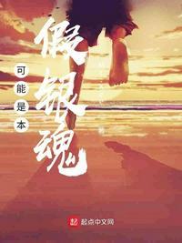 这是一本假银魂