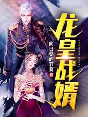 龙皇战婿免费阅读