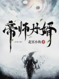 帝师龙婿完结版