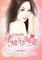 首席总裁的小逃妻