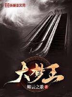 大梦王以纶