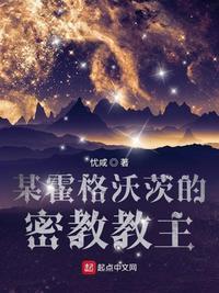 某霍格沃茨的魔文老师