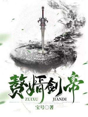 赘婿剑仙