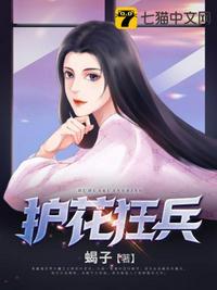 护花狂兵吴天