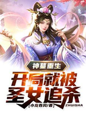 重生神墓的