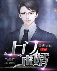 上门虎婿短剧合集