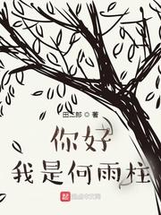 你好我是何雨柱TXT