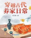 穿越古代养家日常作者尽