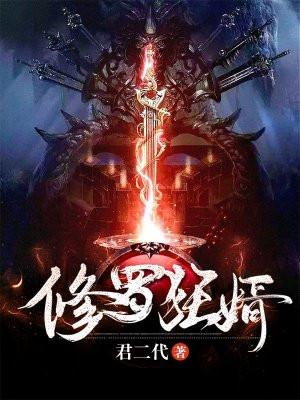 修罗狂婿林皓最后境界