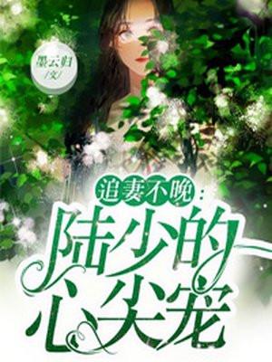 追妻成瘾陆少别乱来