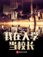 我在高校当校长那些年