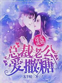 宁薇浅与封九辞免费阅读全文
