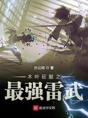 木叶征服之最强雷士