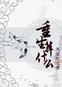 重生算什么类型的