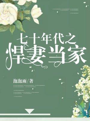 七十年代之悍妻当家全文免费阅读