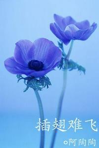 沈初云陆进儿子的叫啥