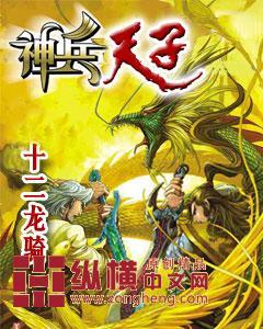 神兵天子 武学