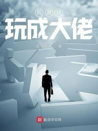 打游戏大佬