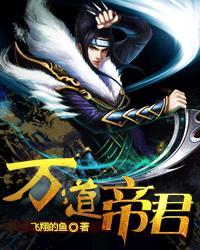 万道帝尊金涛著