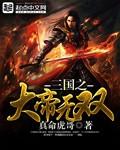 三国之帝皇无双笔趣阁