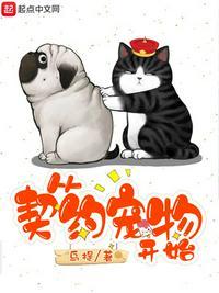 从契约宠物开始sodu