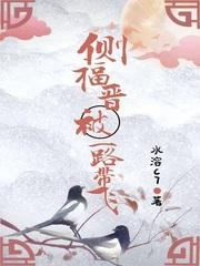 侧福晋被一路带飞原著阅读