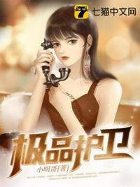 极品护卫txt