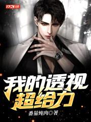 我的透视超给力 txt