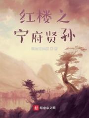 穿越红楼宁府原配