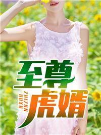 至尊女婿