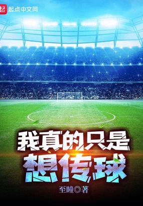 我真的只是想传球李至