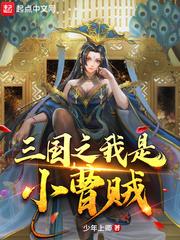 三国之我是小曹贼 TXT