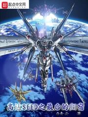 机动战士高达seed剧场版2024