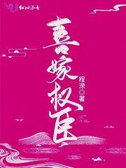 再嫁权臣txt