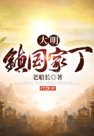 大明镇有多少村