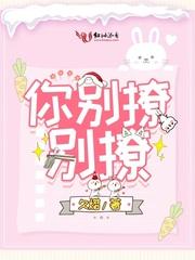 你别撩呀