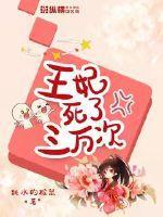 王妃已经失踪三日了