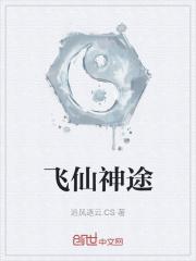 飞舞神途