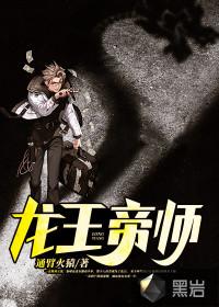 龙王帝师袁家产业药品房地产业几章