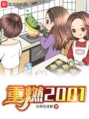 重燃2001阅读