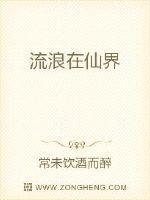 流浪仙界游戏