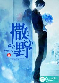 撒野歌词