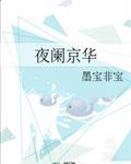 夜阑京华TXT