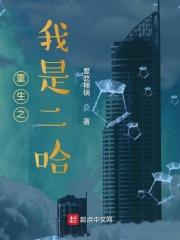 重生之我是二哈 首富