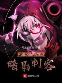全职法师之暗影刺客笔趣阁无弹窗
