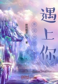 乘龙快婿故事