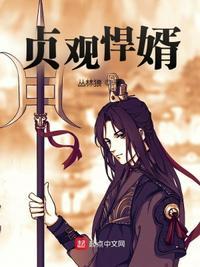 贞观悍婿秦怀道无删减